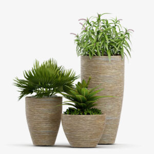 Tedo Vase Set